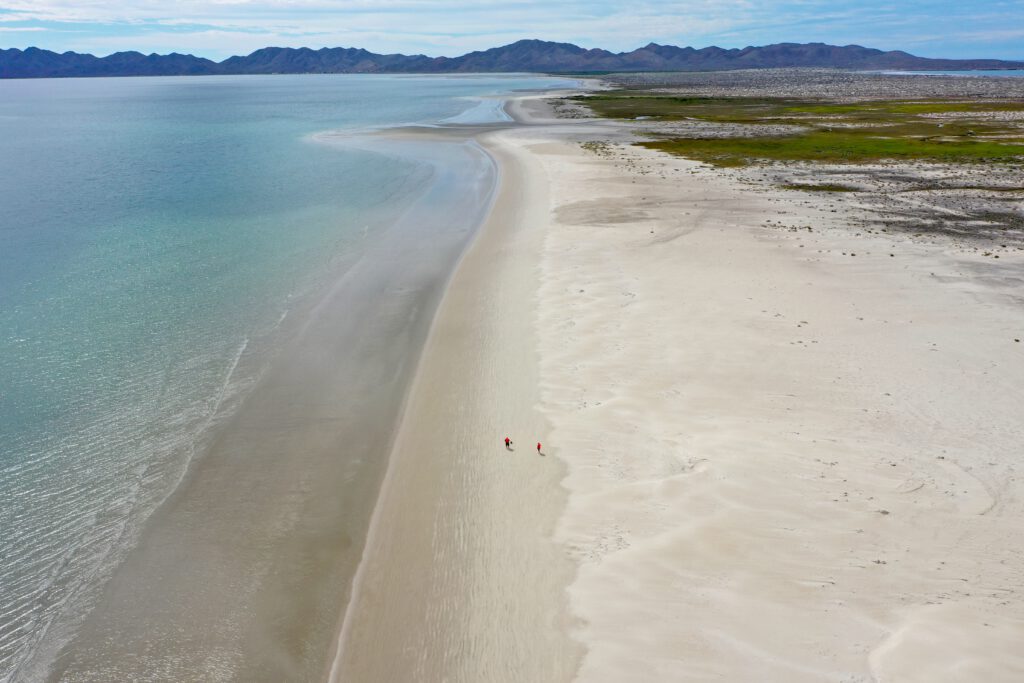 Mexiko 2024 Baja California: La Paz, Magdalena Bay, Loreto, Bahia de Concepcion, Mulegé , Guerrero Negro, San Quintin, Valle de hGuadeloupe , Tijuana